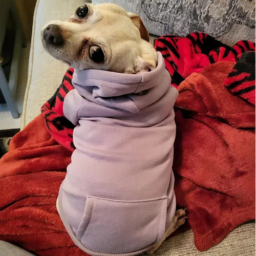 Miniatura 5 de Jecikelon Sudadera con capucha para perro de invierno con bolsillos, ropa cálida para perros pequeños, abrigo de chihuahua, ropa de cachorro y gato