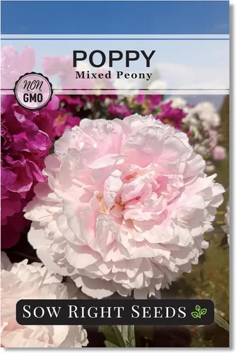 Sow Right Seeds - Semillas mixtas de amapola de peonía para plantar - Amapolas anuales tradicionales sin OMG para jardín de flores - Floraciones de