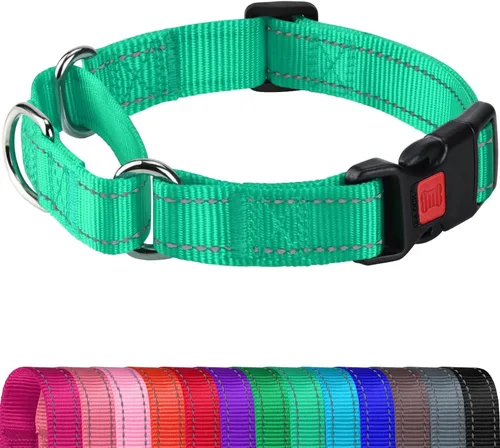 Miniatura 13 de Joytale - Collar martingale para perros, reflectante de alta resistencia para seguridad, hebilla de liberación rápida, collares ajustables de nailon