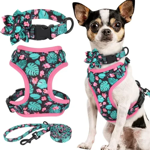 Miniatura 20 de Beirui Collares, arneses y correas lindos para perritas, conjunto - Collar y correa ajustable para perros con flores - Arnés de malla suave