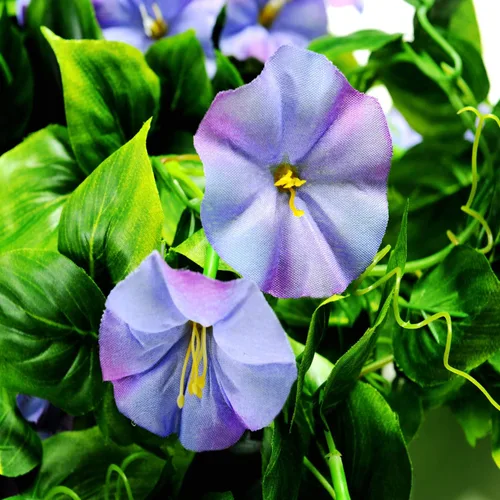 Miniatura 3 de AirSun Vid de flores artificiales de gloria matutina, 2 plantas colgantes de 15 pies, guirnalda de seda falsa de plantas verdes falsas