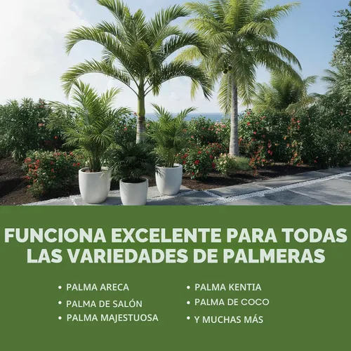 Miniatura 6 de Fertilizante para palmeras para todas las palmas y helechos, alimento líquido para plantas 8 oz (250mL)