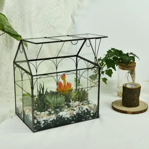 Miniatura 5 de Vidrio de terrario para invernadero de plantas grandes y altas con tapa, 8.7 x 5.9 x 10.6 pulgadas, kit de terrario de cactus suculentos
