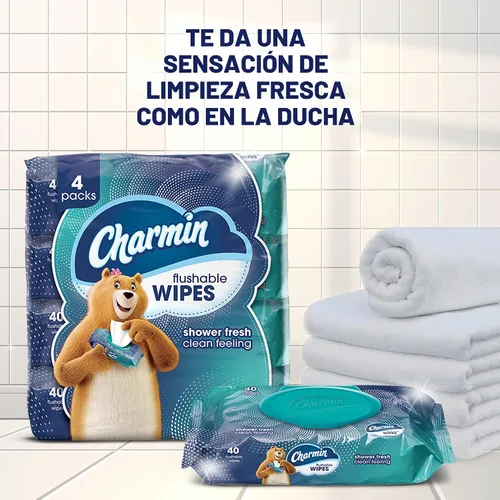 Miniatura 3 de Charmin Toallitas desechables, 160 toallitas en total (4 paquetes de 40)