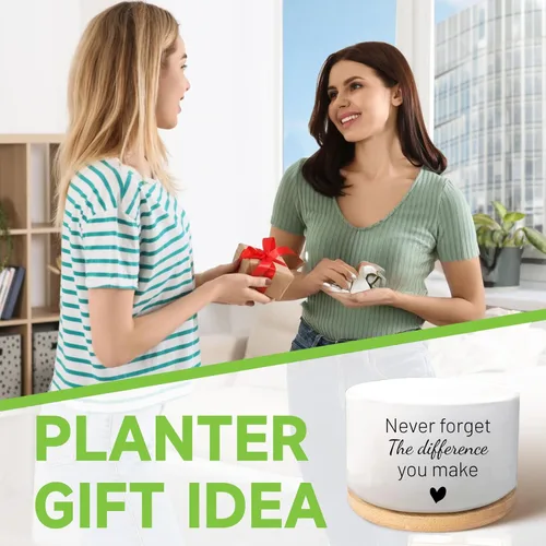 Miniatura 7 de Regalos inspiradores para mujeres, bonita maceta para suculentas, maceta de cactus para amantes de las plantas, regalo motivacional de animación