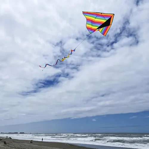 Miniatura 4 de In the Breeze Printed Delta Kites, Easy-Flying Single Line Kites for Kids & Adults
