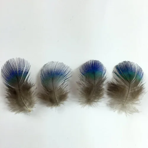 Miniatura 4 de Sowder 50pcs plumas de plumaje de pavo real azul 1-3 pulgadas decoración casera boda