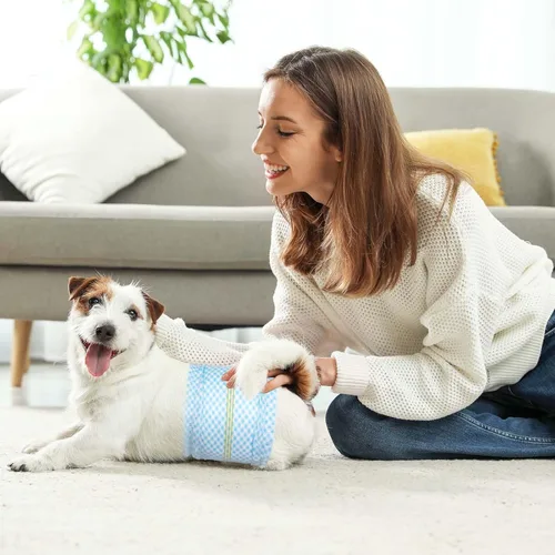 Miniatura 6 de Bandas desechables para el vientre para perros machos, pañales para cachorros machos con indicador de humedad, pañales suaves súper absorbentes