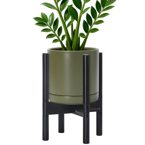 Miniatura 56 de D'vine Dev Maceta de cerámica con soporte de ébano – Maceta redonda moderna de 8 pulgadas con soporte para maceta de madera, color negro, 55-B-M-2