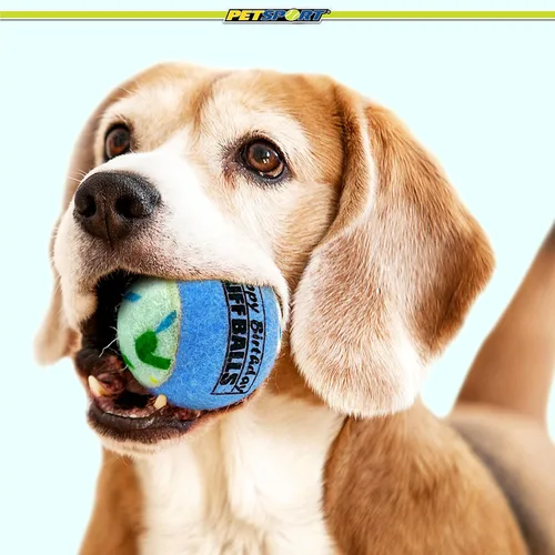 Miniatura 7 de PetSport Jr. Happy Birthday Tuff Ball - Juguetes para perros Paquete de 4 pelotas de tenis pequeñas (1.8 pulgadas) seguras para mascotas y goma
