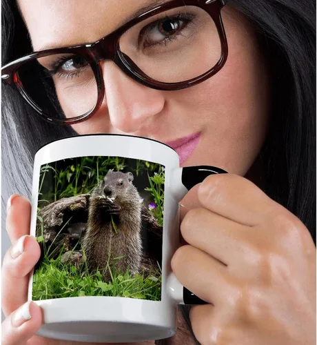 Miniatura 2 de 3dRose Estados Unidos, Minnesota, arenisca. Marmota alimentándose de una flor. Taza negra de dos tonos de 11 oz Negro