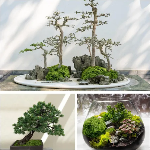 Miniatura 3 de Musgo verde falso para plantas en maceta, decoración de musgo artificial de 10.6 onzas, musgo sintético para manualidades, musgo preservado