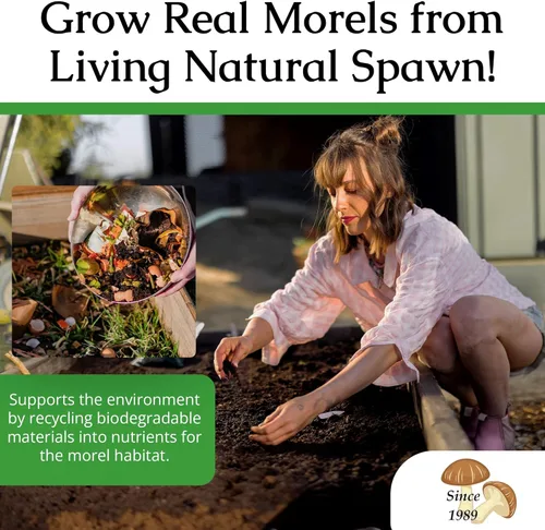 Miniatura 6 de Hábitat para cultivo de morillas, juego de cultivo de setas para el patio Compatible with Any Soil Type Across the U.S., Outdoor Garden & Backyard