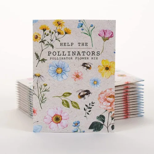 Miniatura 7 de Bentley Pollination Celebration - Paquetes de semillas de flores silvestres, sin OGM, mezcla de flores sin recubrimiento para plantar, hermoso