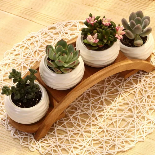 Miniatura 8 de E-liu Juego de macetas y soporte para suculentas, maceta de cerámica blanca con drenaje, paquete de 4, bonita decoración de interiores de oficina