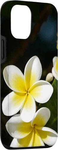 Miniatura 3 de iPhone 12/12 Pro Plumeria Flower - Carcasa amarilla