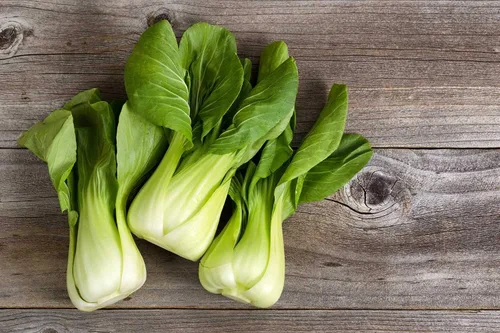Miniatura 4 de Semillas Vegetal Col Chino Bok Choy (Pak Choi) Verde - 300 Semillas