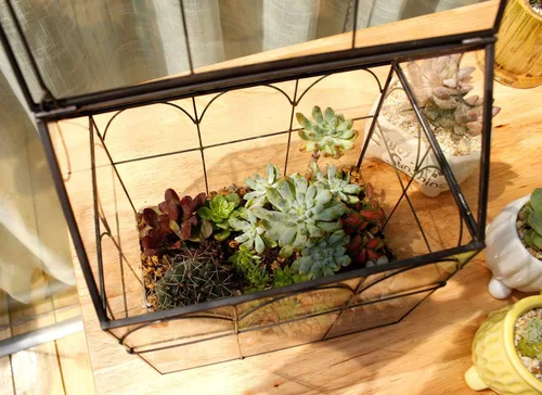 Miniatura 6 de ELEGANTLIFE Terrario geométrico de cristal para plantas suculentas, maceta de aire para decoración del hogar, jardín, oficina (casa negra)
