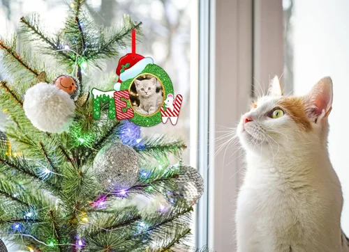Miniatura 3 de Whatsign Adornos de marco de fotos de gatos, decoración de recuerdo colgante de Navidad para árbol de Navidad, adornos personalizados para gatos