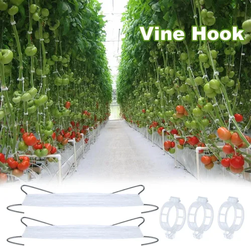 Miniatura 7 de 20 ganchos de tomate con cuerda, ganchos de soporte de tomate, ganchos de soporte de tomate y clips de soporte para plantas con cordel de 33.3 pies