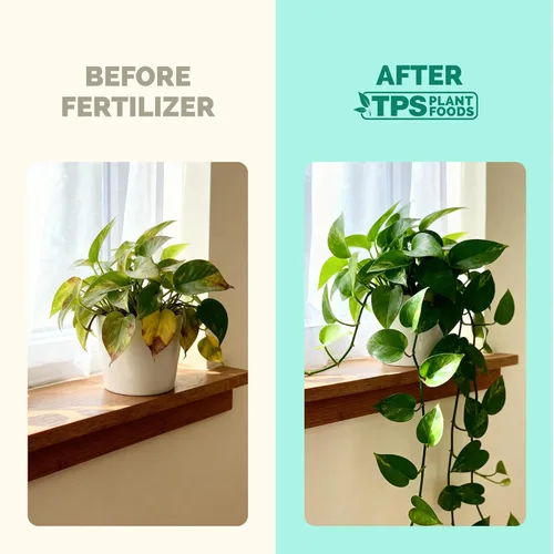Miniatura 3 de TPS NUTRIENTS Alimento Líquido para Plantas de Interior para Plantas de Casa, Fertilizante Líquido, 32 oz (1 Quart)