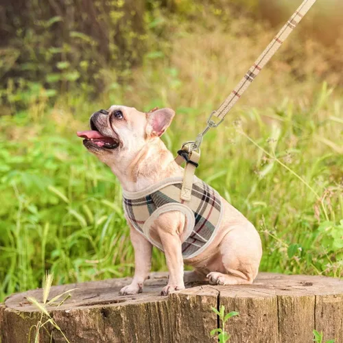 Miniatura 7 de PUPTECK Juego de Arnés y Correa para Perro de Malla Suave Step-in a Cuadros para Cachorro Acolchado Sin Tirones Chaleco Arnés para Perros XS Beige