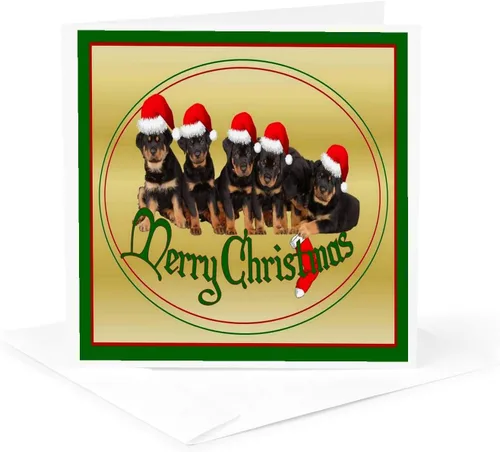 Miniatura 5 de 3dRose Feliz Navidad - rottweiler, rottweilers, propietario de rottie, cachorro rottweiler, cachorros - Tarjetas de felicitación, 6 x 6 pulgadas