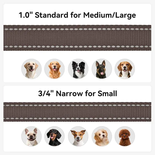 Miniatura 6 de Joytale - Correa reflectante de doble cara para perro, 6, 5 y 4 pies, resistente de nailon, asa acolchada, para pasear perros medianos y grandes