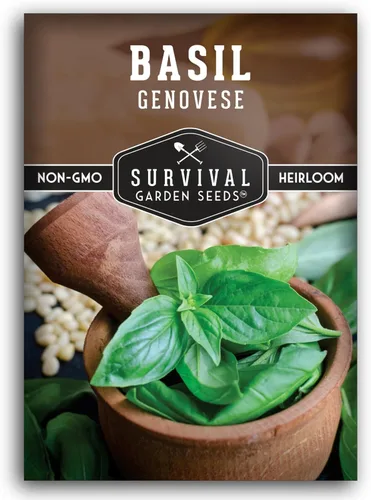 1 paquete de semillas de albahaca genovesa para plantar con instrucciones para cultivar deliciosas hierbas italianas en el huerto de tu hogar,
