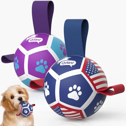 Miniatura 23 de QDAN Juguetes para perros, pelota de fútbol extragrande con correas, juguete de remolcador, juguete de agua, bolas duraderas para perros