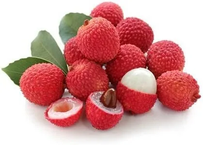 10 semillas frescas de lichi dulce de tamaño completo para cultivar tu propia planta de árbol frutal tropical Litchi