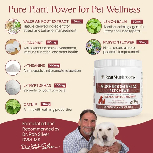 Miniatura 6 de Real Mushrooms Reishi & Cordyceps para humanos y hongos masticables relajantes para mascotas, paquete para relajación, energía e inmunidad, vegano