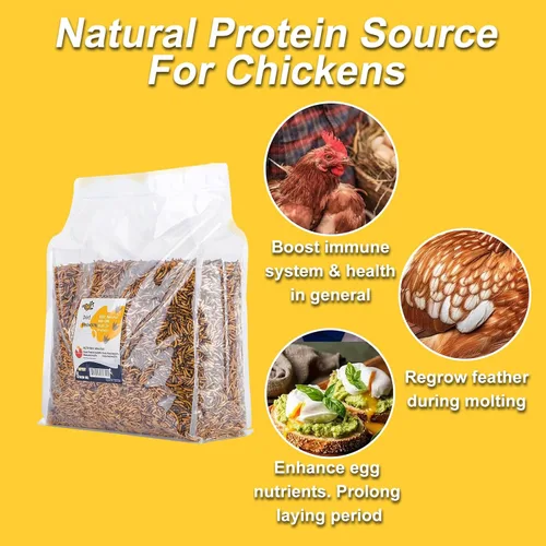 Miniatura 4 de RANZ 5 libras de gusanos secos sin OMGs para pollos, gusanos altos en proteína, alimento premium para pollos, alimento y golosinas perfectas