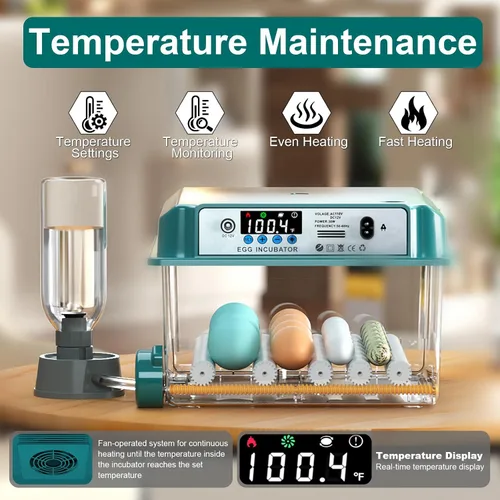Miniatura 2 de Incubadoras para incubar 16 huevos, incubadora de huevos con giro automático de huevos y relleno de humedad, control de temperatura, incubadora