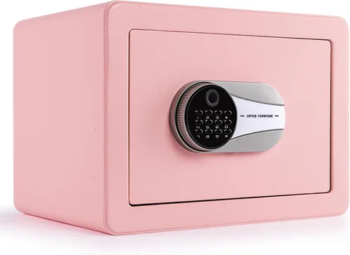 Caja de seguridad biométrica de 0.6 pies cúbicos, caja de seguridad con huella dactilar con bolsa ignífuga, estante removible, sistema de alarma,