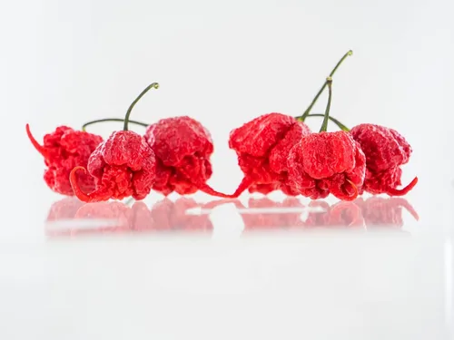 Miniatura 4 de Pepper Joe's Carolina Reaper Seeds - Paquete de 10 semillas de chile más calientes del mundo, cultivadas en Estados Unidos, semillas de Carolina