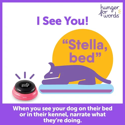 Miniatura 6 de Hunger For Words Talking Pet Next Words Locations - Juego de 3 botones de voz grabables para perros, botones de comunicación para perros