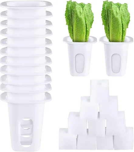 Hoolerry El kit de sistema de cultivo hidropónico de 100 piezas incluye 50 cestas de cultivo hidropónicas y 50 esponjas cuadradas, iniciador de