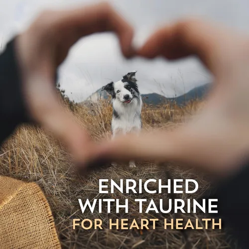 Miniatura 9 de Wholesomes Sensitive Skin & Stomach Small Breed Dry Dog Food, Salmon Meal & Brown Rice Recipe, Pea-Free & Whole Grains, All Life Stages, 12 lb Bag