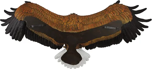 Miniatura 2 de Design Toscano Placa del águila del Orgullo de la Libertad: Grande