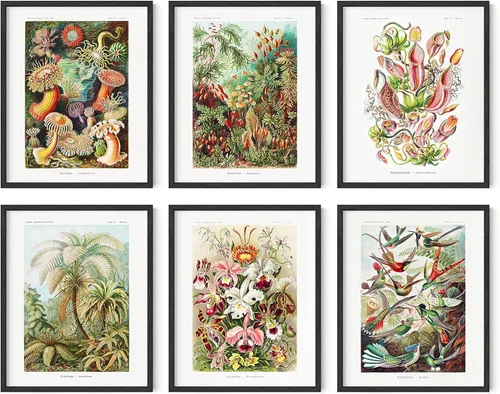 Miniatura 14 de HAUS AND HUES Impresiones de arte asiático, juego de 6 decoraciones japonesas contemporáneas de pared, pinturas de hokusai, carteles de ondas, Juego