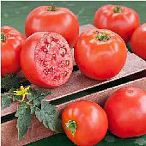 Goliath Semillas de tomate (originales) (45 semillas) Semillas para plantar, granja, cultivo en jardín, invernadero, vegetales, frutas