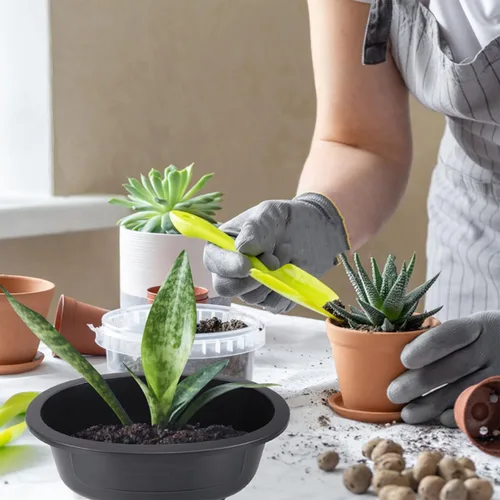 Miniatura 3 de DOITOOL 2 macetas de entrenamiento de bonsái de plástico de 17 pulgadas con orificio de drenaje, maceta ovalada para bonsái, macetas de cultivo