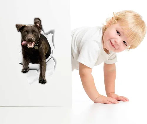 Miniatura 2 de Winston & Bear Calcomanías 3D para perros, paquete de 2, calcomanías de labrador de chocolate emocionado para pared, nevera, inodoro y más