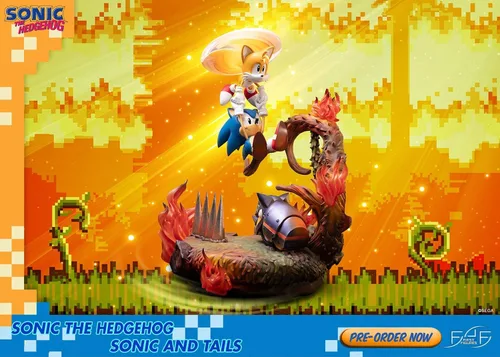 Miniatura 3 de Sonic The Hedgehog: Sonic and Tails - Figura de edición estándar sin escala