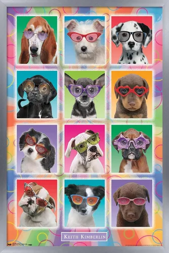 Miniatura 9 de Trends International Keith Kimberlin - Póster de pared con diseño de cachorros, gafas de sol, 14.725 x 22.375 pulgadas, versión enmarcada de madera