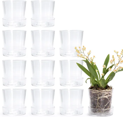 Miniatura 20 de Phoenix Vine Maceta de acrílico transparente de 3.5 pulgadas con bandeja, maceta de orquídeas con agujeros de drenaje, platillo profundo para riego