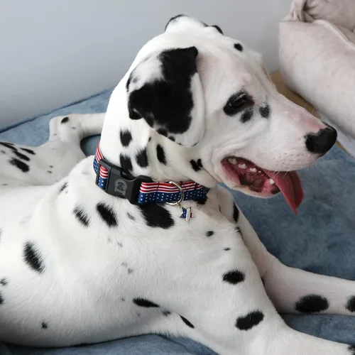 Miniatura 6 de MR. CHUBBYFACE - Collar ajustable para perro con la bandera estadounidense del 4 de julio, collar para el día de la independencia, rojo, blanco