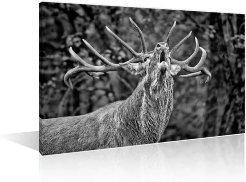 Miniatura 18 de Arte de pared en blanco y negro con diseño de vaca escocesa de las tierras altas en la Isla de Mull impresiones sobre lienzo, decoración del hogar