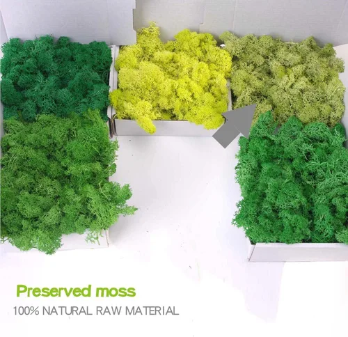 Miniatura 2 de Musgo preservado, musgo de 3.5 onzas para manualidades, decoración de musgo sintético, musgo verde natural para decoración de pared de floristería